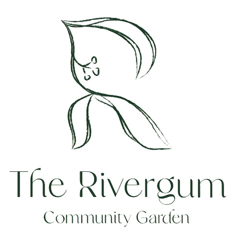 rivergum logo